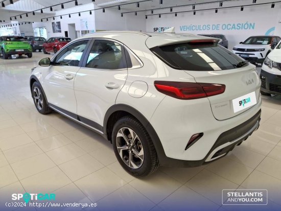 Kia XCeed  1.0 T-GDi  88kW (120CV) Drive - Ourense