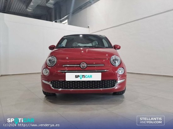 Fiat 500C   1.0 Hybrid 51KW (70 CV) Club - Granada