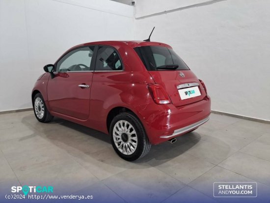 Fiat 500C   1.0 Hybrid 51KW (70 CV) Club - Granada