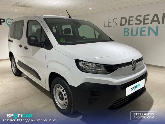 Citroën Berlingo  Talla M BlueHDi 100 S&S You - Almería