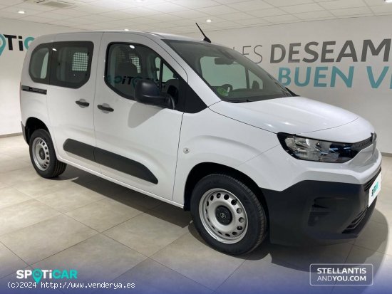 Citroën Berlingo  Talla M BlueHDi 100 S&S You - Almería