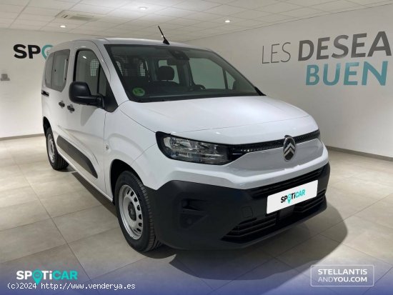 Citroën Berlingo  Talla M BlueHDi 100 S&S You - Almería