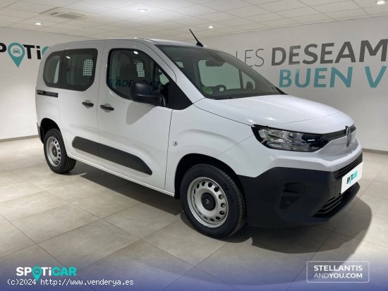 Citroën Berlingo  Talla M BlueHDi 100 S&S You - Almería