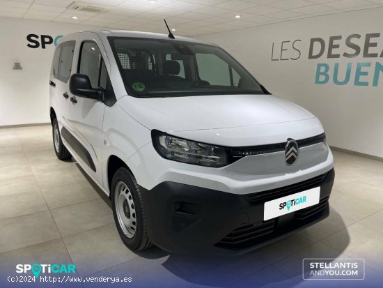 Citroën Berlingo  Talla M BlueHDi 100 S&S You - Almería