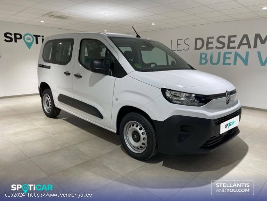 Citroën Berlingo  Talla M BlueHDi 100 S&S You - Almería