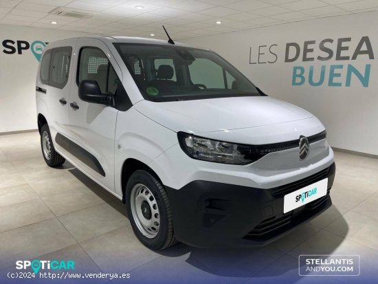 Citroën Berlingo  Talla M BlueHDi 100 S&S You - Almería