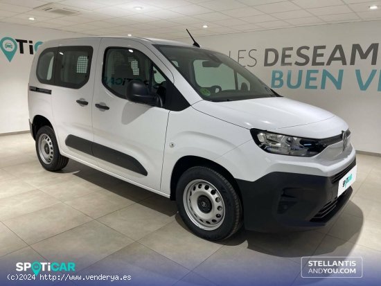 Citroën Berlingo  Talla M BlueHDi 100 S&S You - Almería