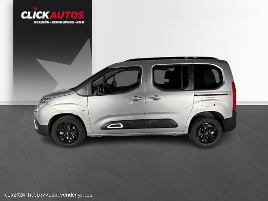 Citroën Berlingo 1.5 BlueHDI 100CV Shine - Elche