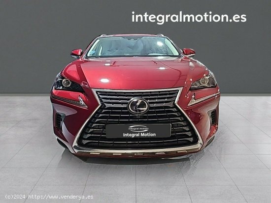 Lexus NX 2.5 300h Executive Navigation 4WD - 