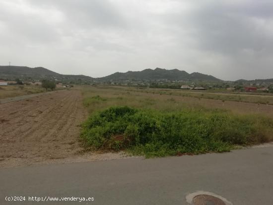  Parcela en Hondón de los Frailes - ALICANTE 