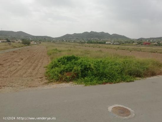 Parcela en Hondón de los Frailes - ALICANTE