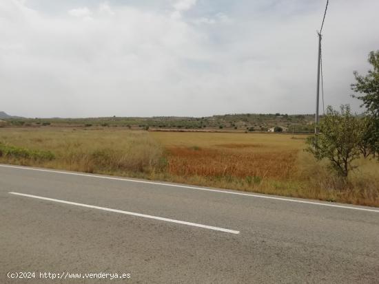 Terreno en La umbria - ALICANTE