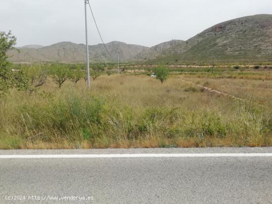 Terreno en La umbria - ALICANTE