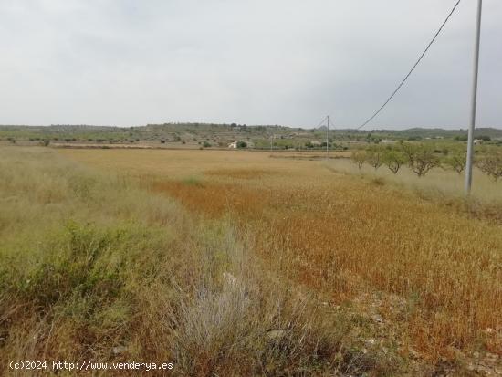 Terreno en La umbria - ALICANTE