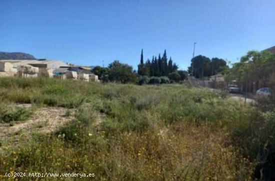 SE VENDE TERRENO URBANO EN MUY BUENA ZONA DE MONFORTE DEL CID A 15 MINUTOS DE ALICANTE - ALICANTE