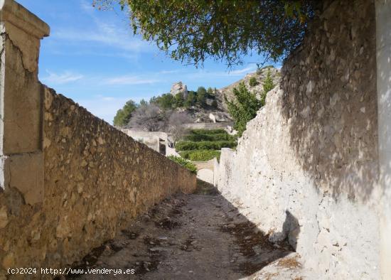 VENTA DE PRECIOSA CASA PALACIEGA EN MULA - MURCIA