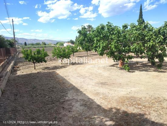 TERRENO A LA VENTA EN ONTINYENT UBICADO ZONA EL LLOMBO - VALENCIA