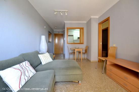 APARTAMENTO AMUEBLADO - VALENCIA