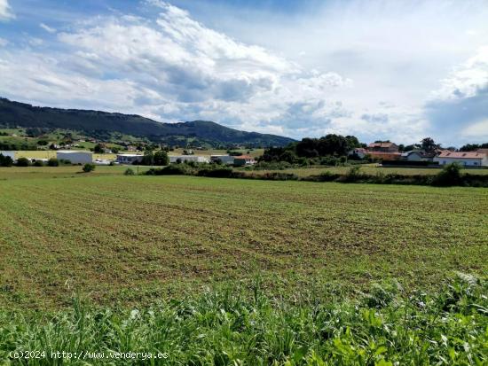 Terreno urbanizable en Marina de Cudeyo - CANTABRIA