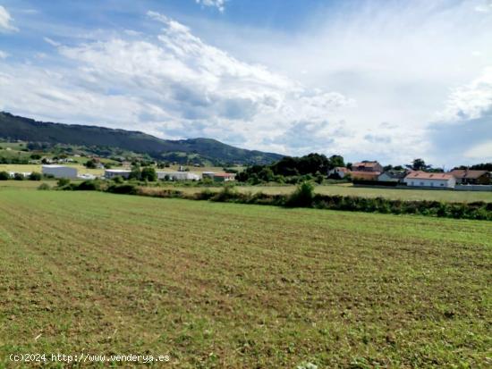 Terreno urbanizable en Marina de Cudeyo - CANTABRIA