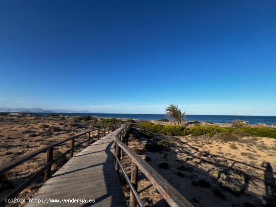 Piso a la venta en 1ª línea de playa de Arenales del Sol. - ALICANTE