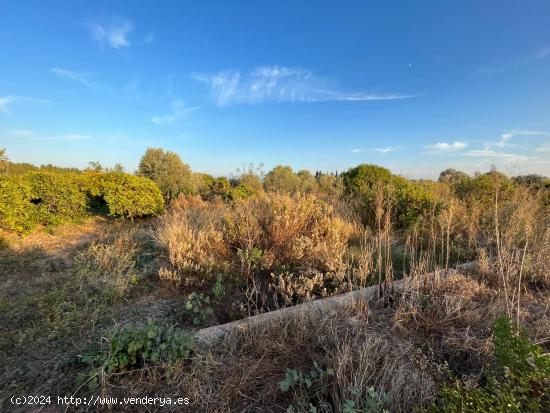 TERRENO AGRARÍO EN, CASTELLÓN, ZONA CAMINO DE LA PLANA - CASTELLON