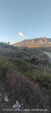 TERRENO EN ALQUILER DE CONCESIÓN DEPORTIVA EN MIJAS - MALAGA