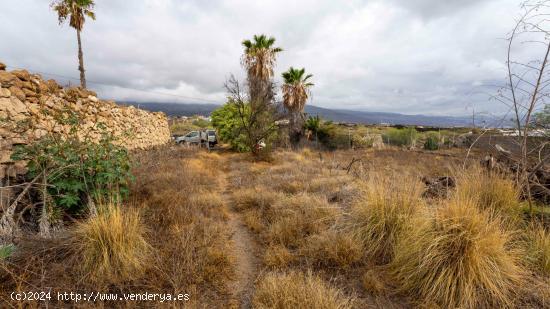 TERRENO EN VENTA GÜIMAR (EL VOLCAN) - SANTA CRUZ DE TENERIFE