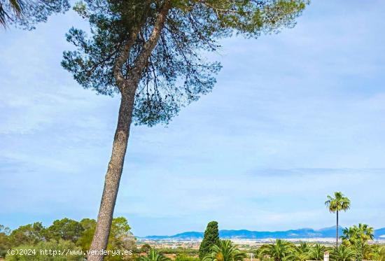 Terreno Urbano en urbanización Parcelación Rustica Son Oliver - BALEARES