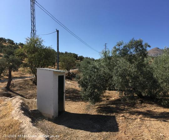 se vende Finca Rustica en Antequera - MALAGA