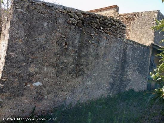 Encantador terreno con agua y luz de 1,2 ha - TARRAGONA