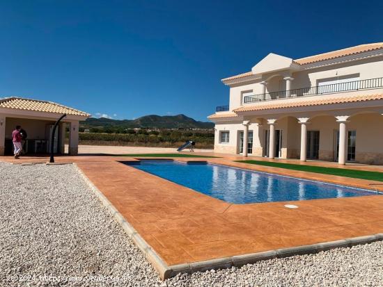 VILLA DE ESTILO TRADICIONAL DE NUEVA CONSTRUCCIÓN DE 4 DORMITORIOS EN PINOSO - ALICANTE