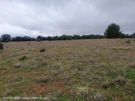 Gran oportunidad de Parcela con unas vistas Privilegiadas en los La Dehesa de los Hueros - MADRID