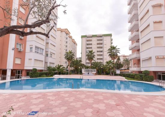 APARTAMENTO LAS ALONDRAS ALQUILER TEMPORADA INVIERNO PLAYA DE GANDIA - VALENCIA