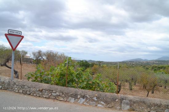  Solar urbano en Campanet - BALEARES 