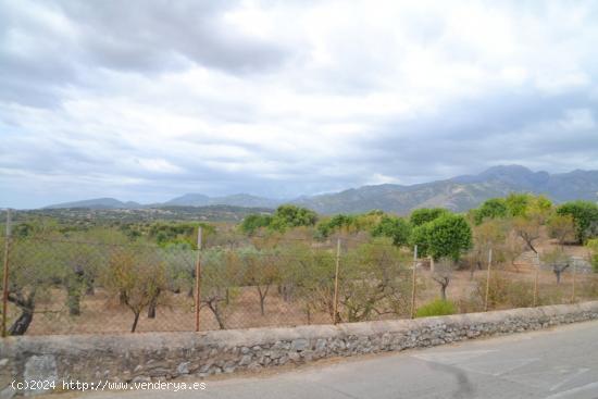 Solar urbano en Campanet - BALEARES