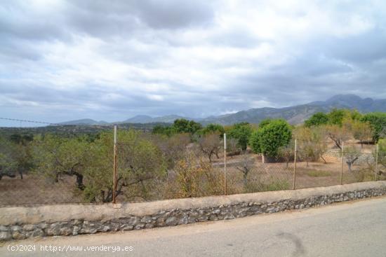 Solar urbano en Campanet - BALEARES