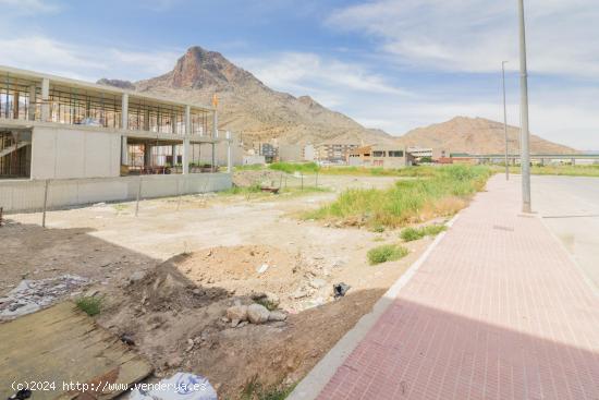 TERRENO URBANO EN VENTA EN LA MEJOR ZONA DE CALLOSA DE SEGURA. - ALICANTE