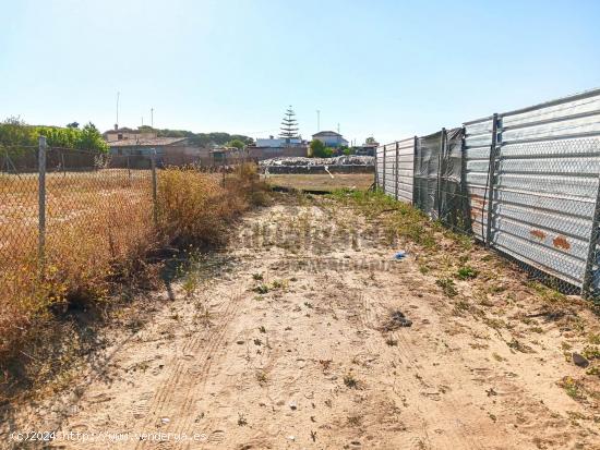  PARCELA RÚSTICA EN LA ZONA DE MARTÍN MIGUEL - CADIZ 