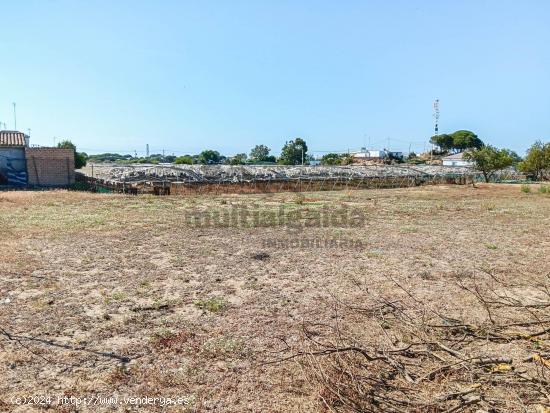 PARCELA RÚSTICA EN LA ZONA DE MARTÍN MIGUEL - CADIZ