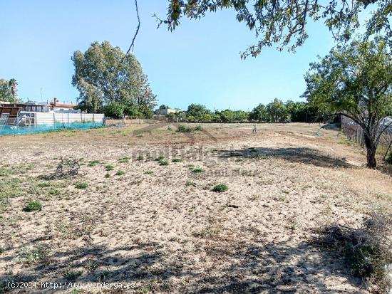 PARCELA RÚSTICA EN LA ZONA DE MARTÍN MIGUEL - CADIZ