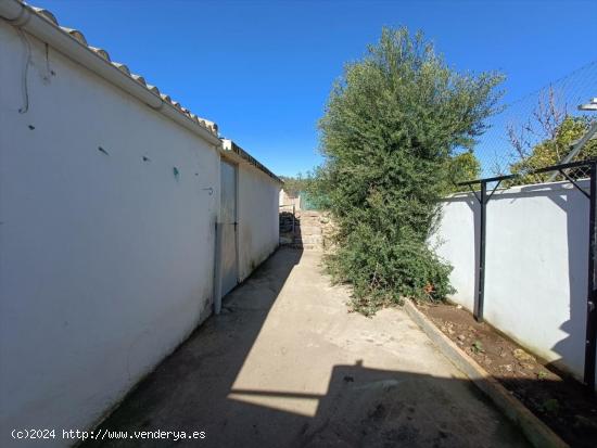 VIVIENDA UNIFAMILIAR DE DOS PLANTAS Y AZOTEA - CADIZ