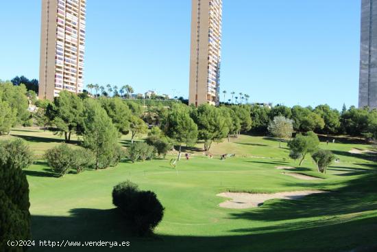 Apartamento de 1 dormitorio en zona residencial de la playa de Poniente en Benidorm - ALICANTE