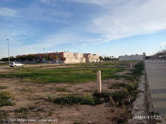 SOLAR EN TORRE PACHECO - MURCIA