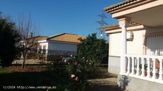 Parcela con casa sde 150 m2, piscina y nave de 65m2. - CORDOBA