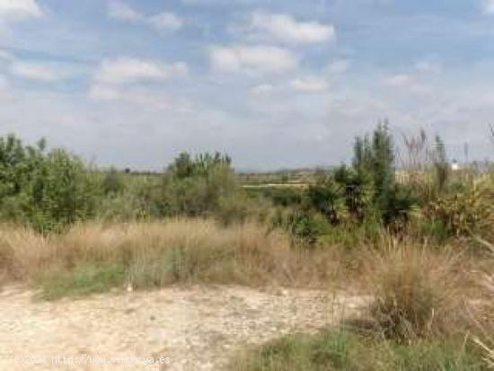 TERRENO - Parcela de terreno de 1.200 m2 cerca de la barriada del Higueron - CORDOBA