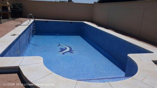 ZONA CAMINO VIEJO DE ALMODOVAR - Parcela de 1.070 m2 con casa de 170 m2, cocina campera, piscina. - 