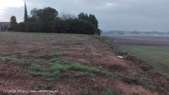 Parcela de terreno de 3.000 m2 con escrituras independientes del terreno y vallada. - CORDOBA