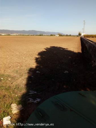 ZONA VILLARRUBIA - Finca rustica de 3 hectáreas con boca de riego y alcantarillado. - CORDOBA