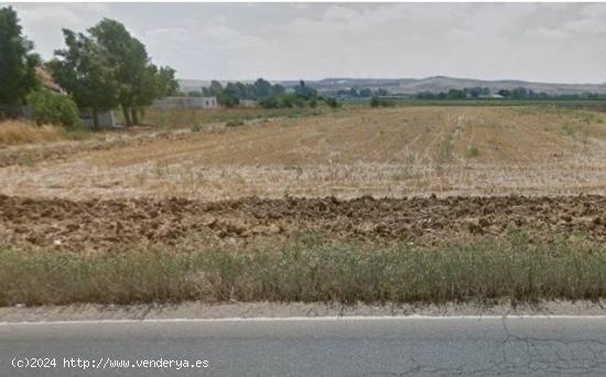  Terreno de siembra de 12.250 m2, fachada a la carretera. - CORDOBA 